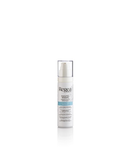 Crème Visage Hydratante - Regea